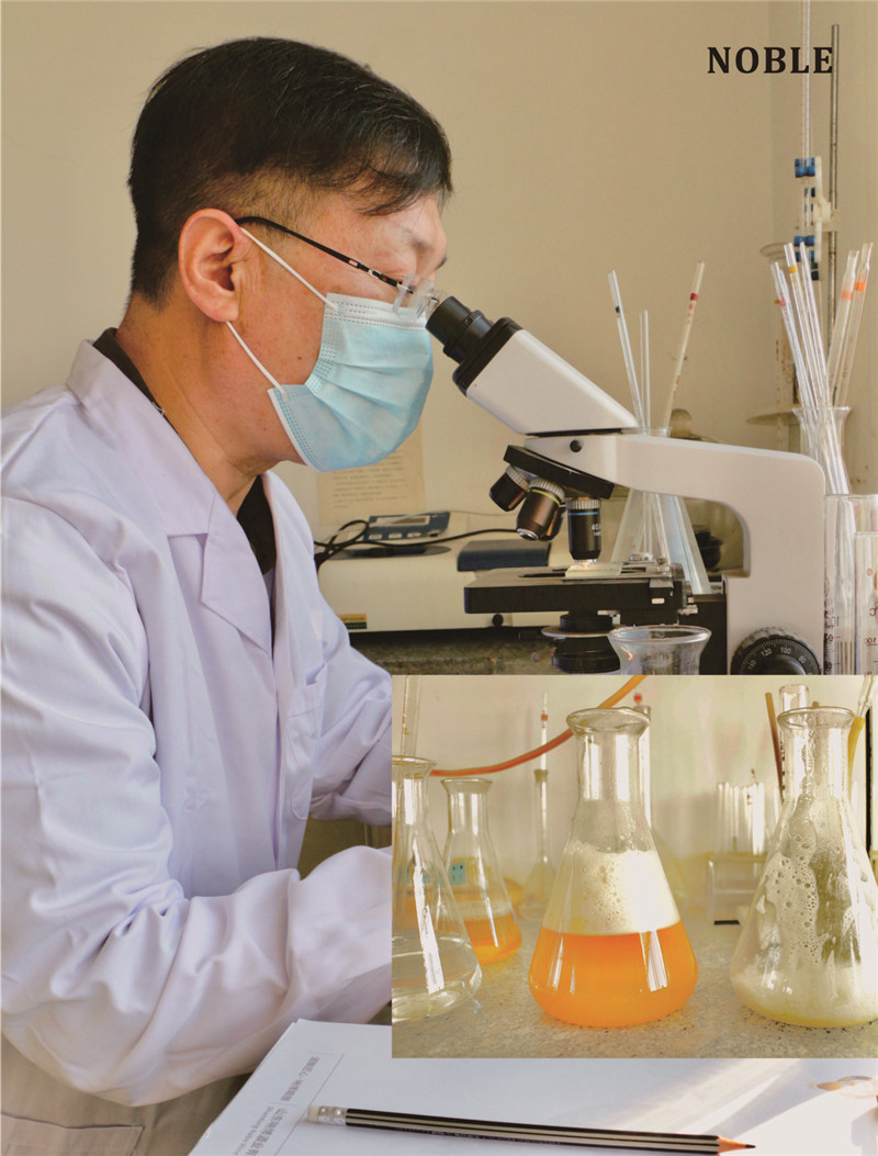 20210222105809da28fe.jpg 鼎博app苹果版